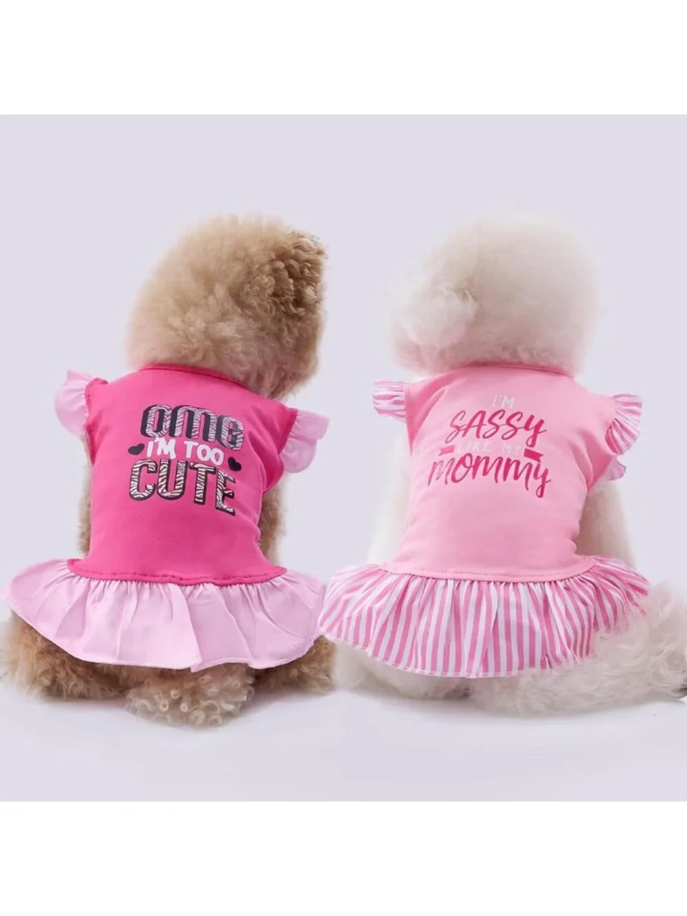 Cute Summer Dog Dress Set - 4 Pieces Pet Apparel for Small Dogs & Cats, X-Small
